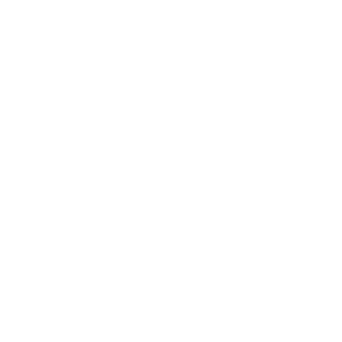 Carbon Based Auction Manager - NZ