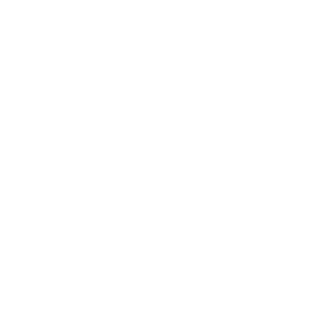 Carbon Based Auction Manager - eBay AU